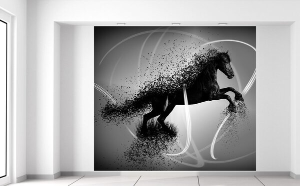 Fotótapéta Fekete-fehér ló - Jakub Banas