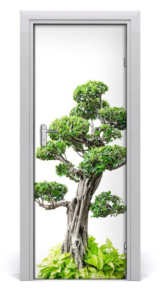 Ajtóposzter öntapadós bonsai fa 85x205