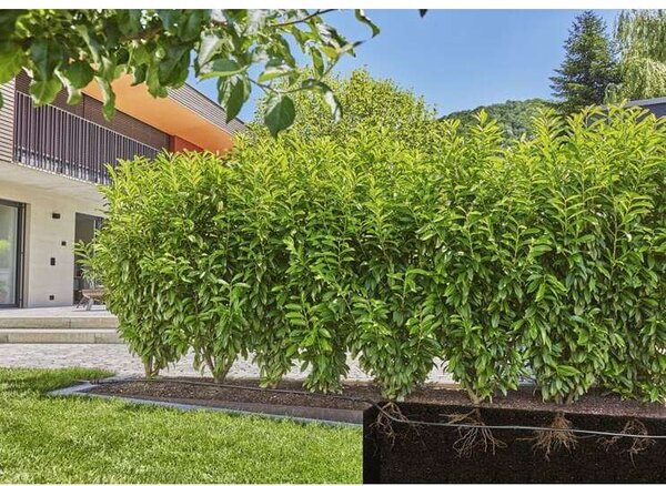 Gardena 13501-20 Micro-Drip-System Csepegtető öntözőkészlet (50 m)