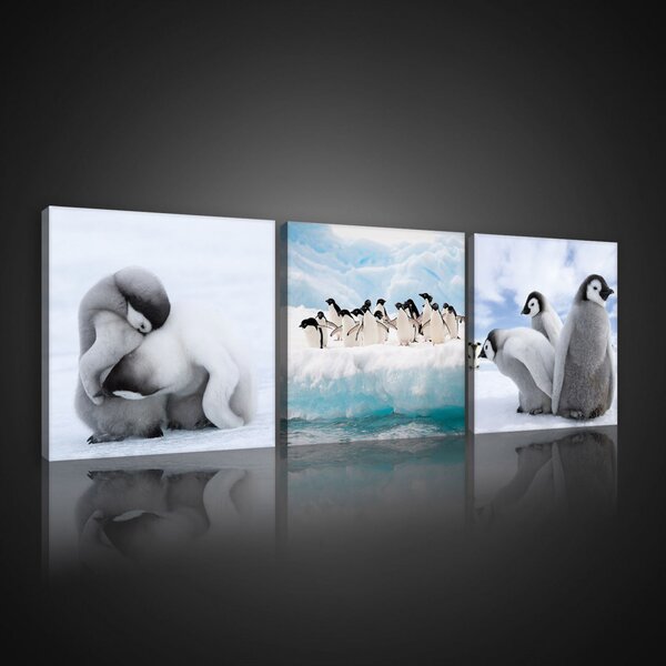 Vászonkép 3 darabos, Pingvinek, 3 db 25x25 cm méret