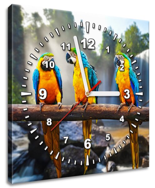 Gario Órás falikép Színes papagájok Méret: 30 x 30 cm