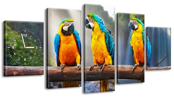 Gario Órás falikép Színes papagájok - 5 részes Méret: 150 x 70 cm