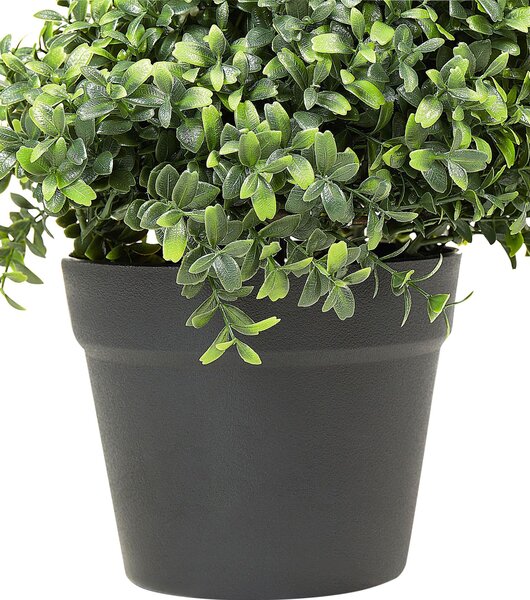 Műnövény BUXUS SPIRAL TREE 98 cm Zöld