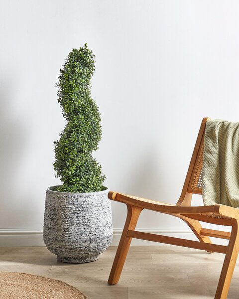 Műnövény BUXUS SPIRAL TREE 98 cm Zöld