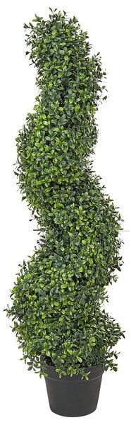 Műnövény BUXUS SPIRAL TREE 98 cm Zöld