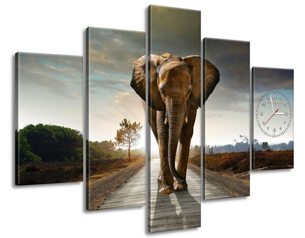 Gario Órás falikép Magányos eros elefánt - 5 részes Méret: 150 x 105 cm