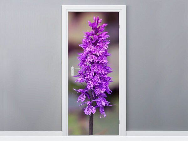 Gario Fotótapéta ajtóra Orchidea Anyag: Öntapadó, Méret: 95 x 205 cm