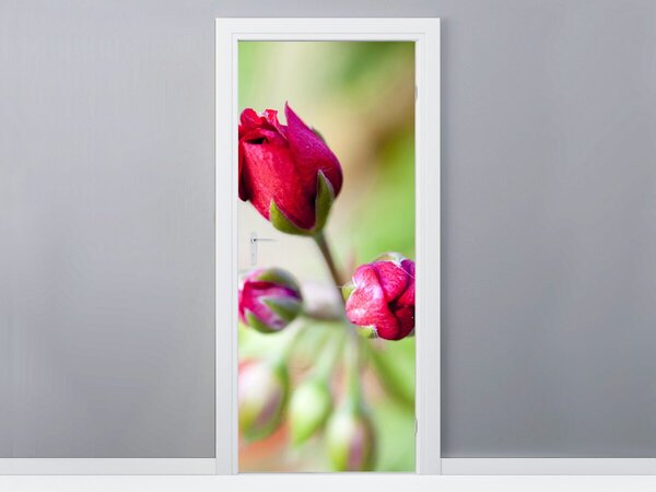 Gario Fotótapéta ajtóra Rózsabimbók Anyag: Öntapadó, Méret: 95 x 205 cm