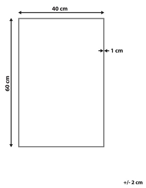 Falitükör ANGERS 40 cm 60 cm Ezüst