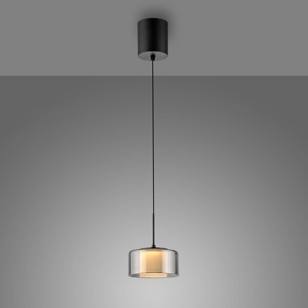 Paul Neuhaus LED-es függőlámpa Rika, Ø 15 cm, üveg, fényerőszabályzóval,, dimmelhető, Fekete, Nappali / Étkező, Üveg, Modern