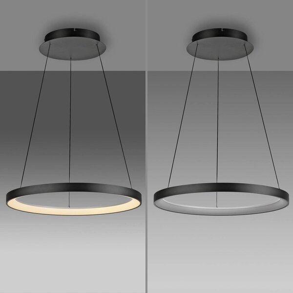 Paul Neuhaus LED-es függőlámpa Hoop, fekete, Ø 57 cm, dimmelhető, dimmelhető, Fekete, Nappali / Étkező, fém, Modern