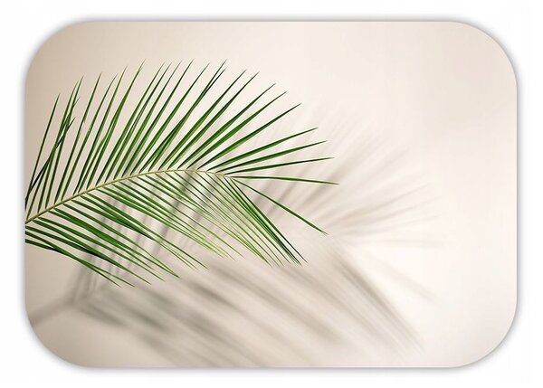 Greeen palm tányéralátét 4db