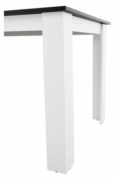 Étkezőasztal Plat (téglalap) (4 fő részére) (fehér + fekete)
