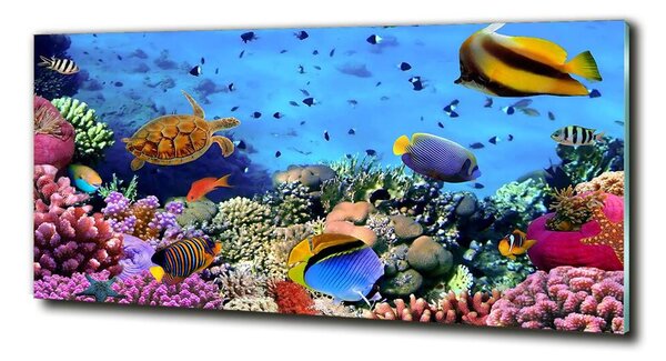 Egyedi üvegkép Korallzátony