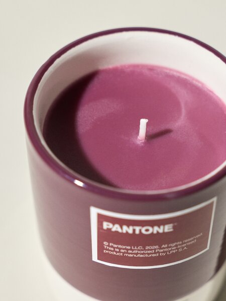 Sinsay - Gyertya Pantone - mályva