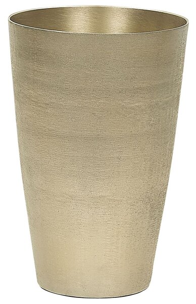 Virágtartó váza AMRIT Fém 31 cm Arany