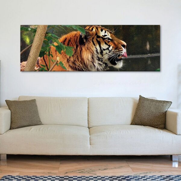 150x50cm Tiger life tigris - vászonkép