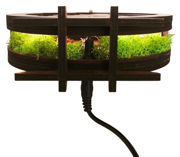 LED dekoráció Kis herceg repülőgéppel | Wenge diófa