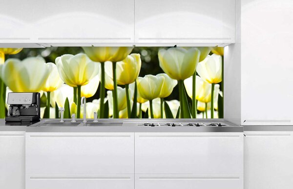 Konyhai fotótapéta - fehér tulipán 180 x 60 cm