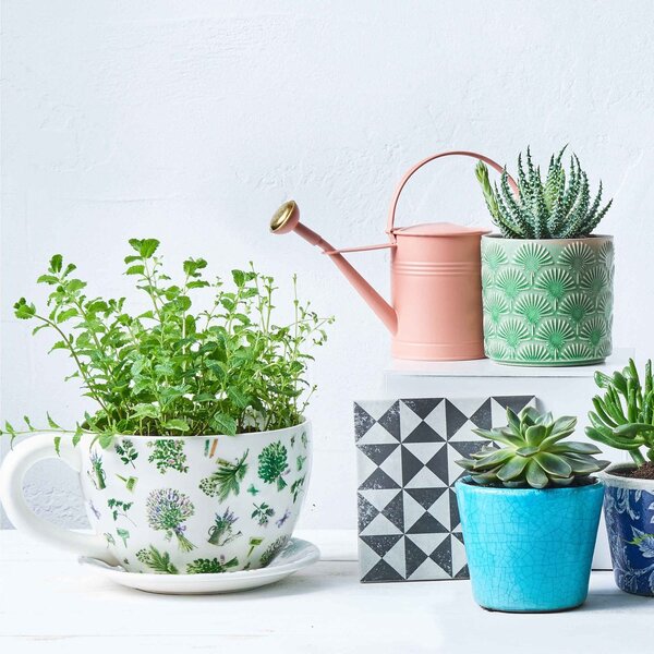 PLANT A CUP csésze alakú kaspó, levendula csokrok