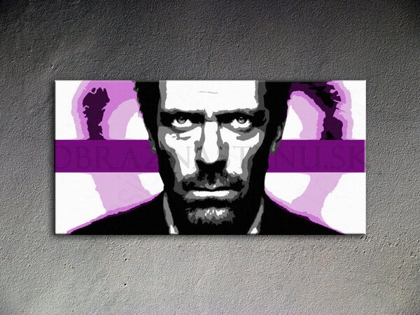 Kézzel festett vászonképek POP Art Dr. HOUSE 1010 dh (POP)