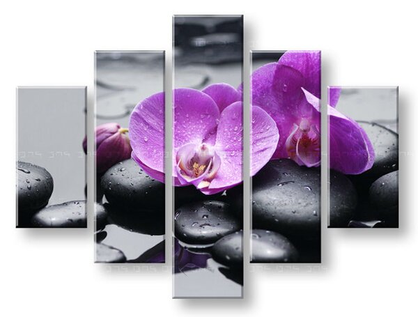 Falikép FENG SHUI (modern vászonképek)