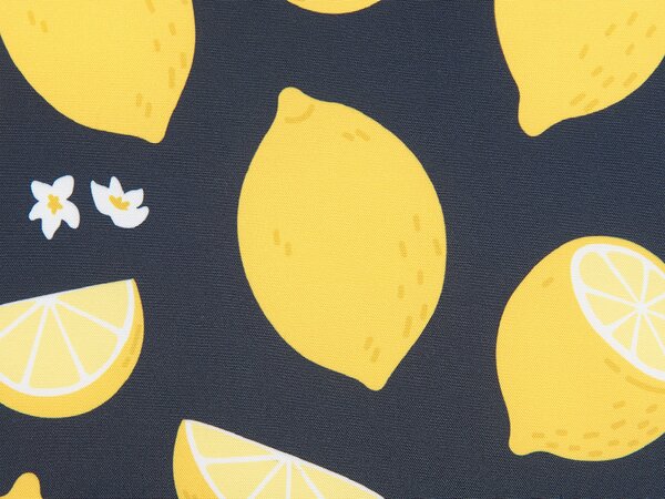 2 db díszpárna CITRUS 45 x 45 cm Fekete Növénymintás
