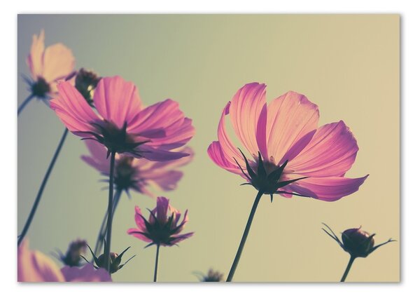 Egyedi Üvegkép Rózsaszín virágok