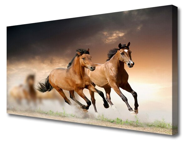 Vászonkép lovak Állatok 100x50 cm