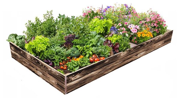 ATMOWOOD Fa magaságyás 240 x 100 x 20 cm - égetett felület