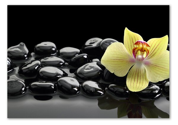 Egyedi Üvegkép Orchidea