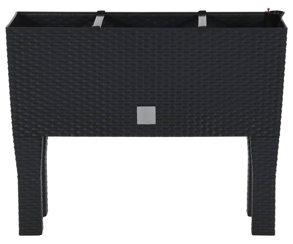 Antracitszürke polipropilén rattan kerti magaságyás 60x25x46 cm