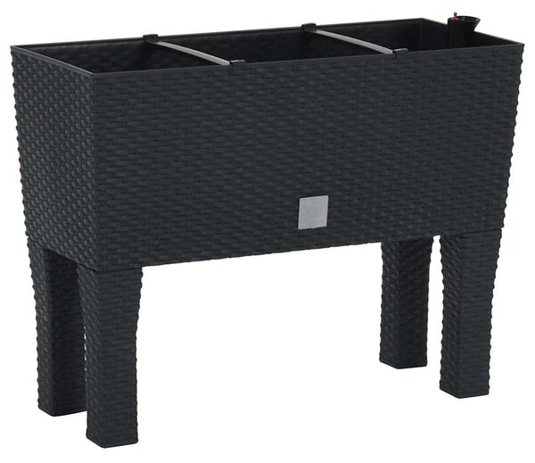 Antracitszürke polipropilén rattan kerti magaságyás 60x25x46 cm