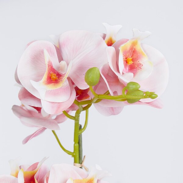 FLORISTA cserepes orchidea 51 cm , sárgabarack szín