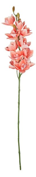 FLORISTA kardvirág 75 cm , narancssárga