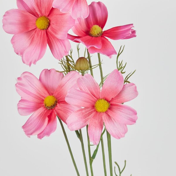 FLORISTA pillangóvirág 78 cm , rózsaszín