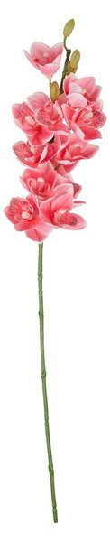 FLORISTA kardvirág 75 cm , rózsaszín