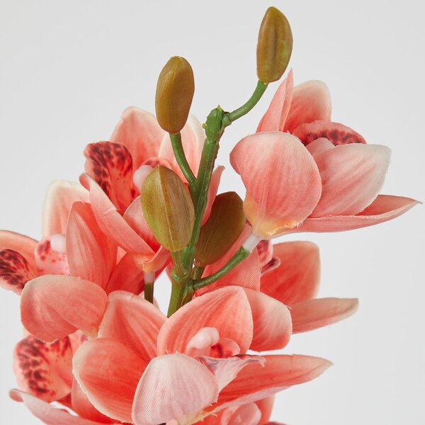 FLORISTA kardvirág 75 cm , narancssárga