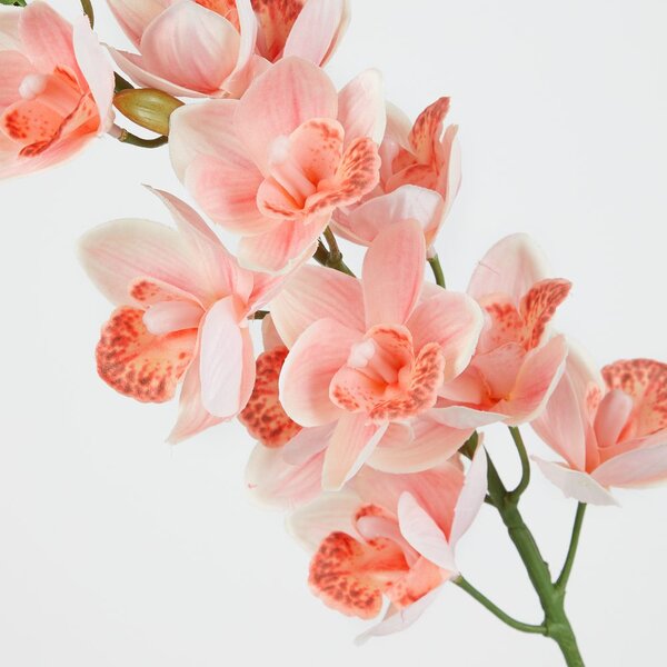 FLORISTA kardvirág 75 cm , sárgabarack szín