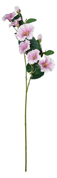 FLORISTA hajnalpír 76cm , lila/fehér