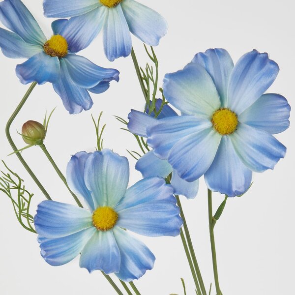 FLORISTA pillangóvirág 78 cm , kék