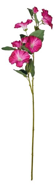FLORISTA hajnalpír 76cm , meggypiros