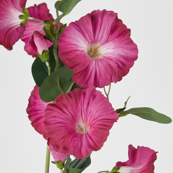 FLORISTA hajnalpír 76cm , meggypiros
