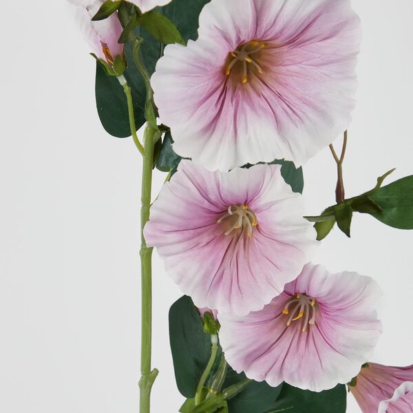 FLORISTA hajnalpír 76cm , lila/fehér