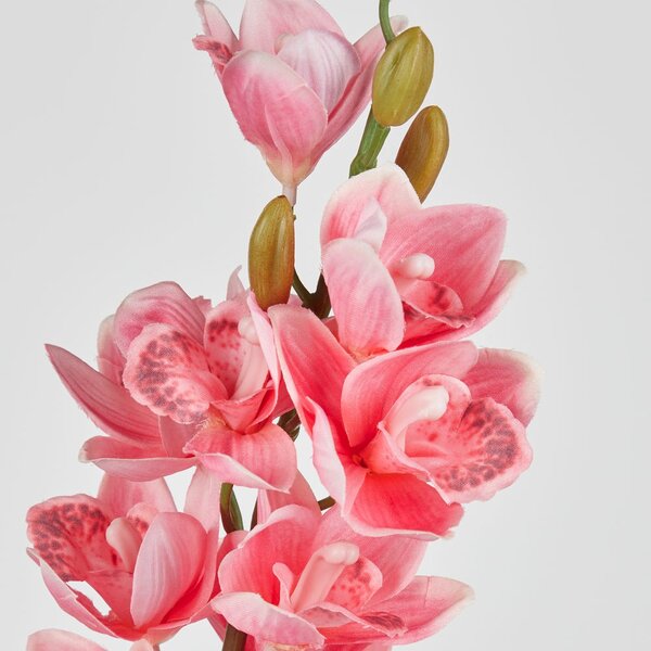 FLORISTA kardvirág 75 cm , rózsaszín
