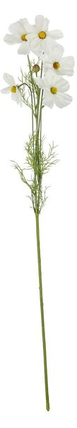 FLORISTA pillangóvirág 78 cm , sárgabarack szín