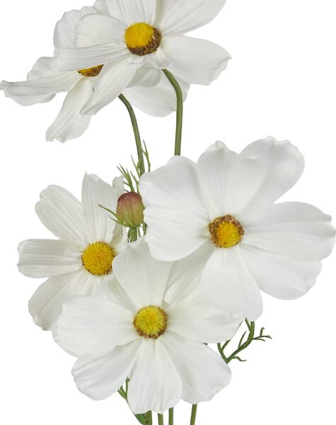 FLORISTA pillangóvirág 78 cm , sárgabarack szín