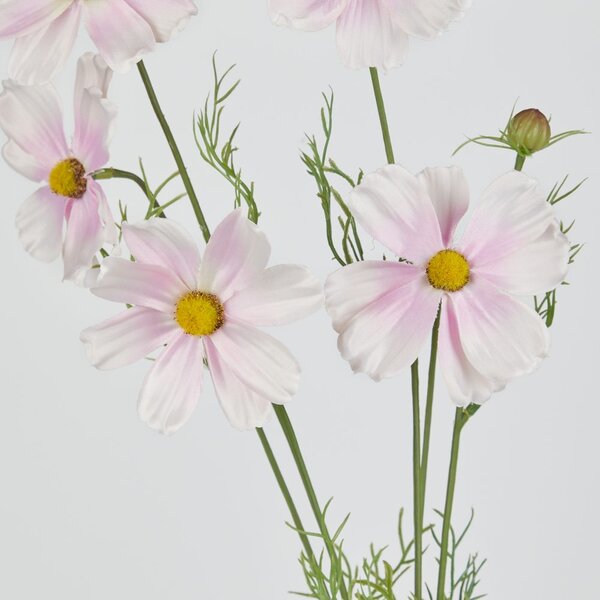 FLORISTA pillangóvirág 78 cm , rózsaszín