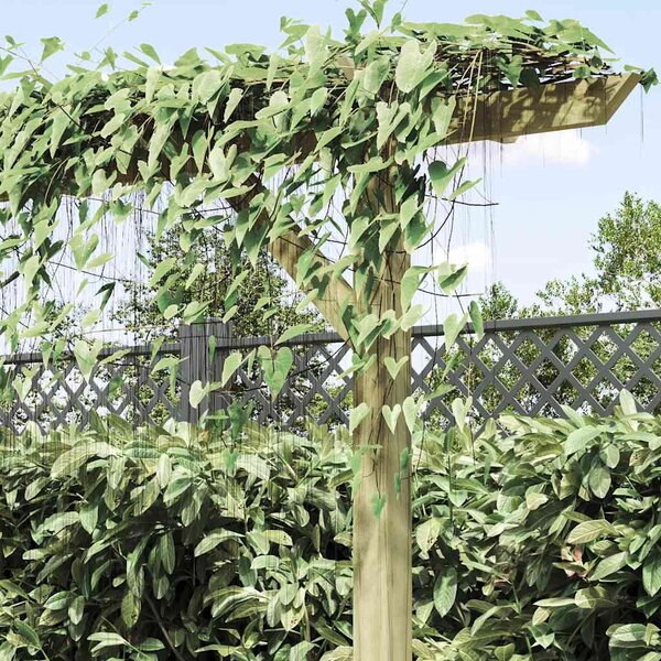 Fa kerti pergola 410 x 40 x 203 cm