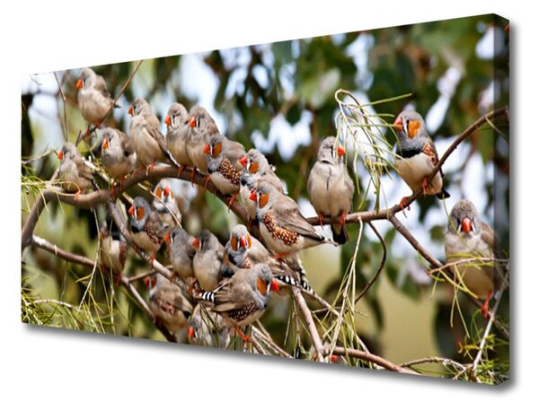 Canvas kép madarak Állatok 100x50 cm
